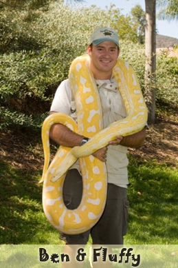 bensnake bensnake