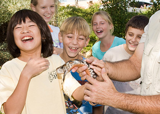 gallery_kids_new gallery_kids_new