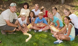 group_1 group_1