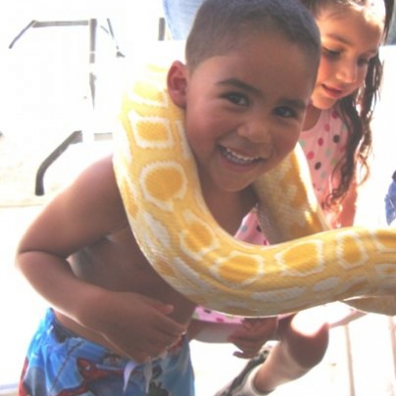 kidsnake3 kidsnake3